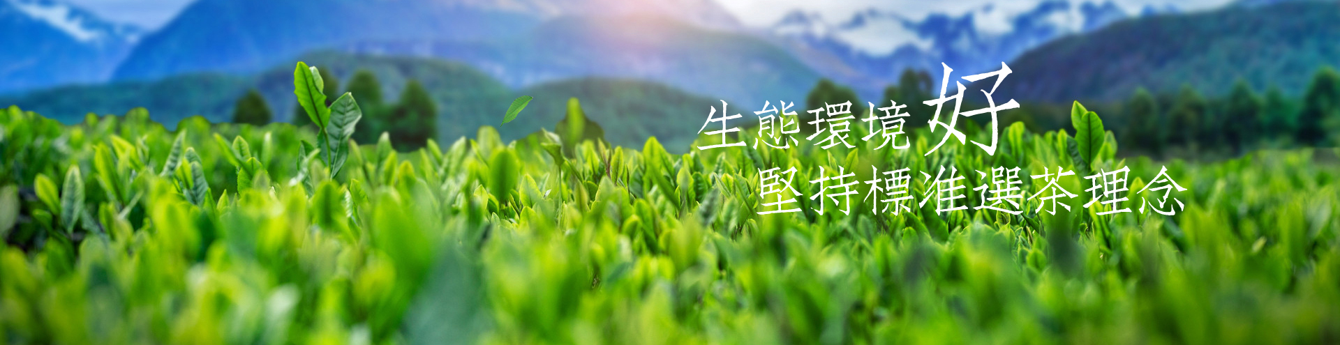 聯系我們